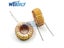 5PCS Toroid Inductor 3A Winding Magnetic Inductance 22uH 33uH 47uH 56uH 100uH Carousel 1