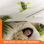 Climbs up Walls for Prank Toys Carousel 3
