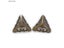 10Pcs Bronze Box Cabinet Table Luggage Decorative Metal Wooden Case Feet Leg Carousel 1