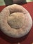 Dog bed, bowls, harnesses, leads, toy & jumper. Carousel 1