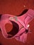 Dog bed, bowls, harnesses, leads, toy & jumper. Carousel 6