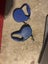 Dog bed, bowls, harnesses, leads, toy & jumper. Carousel 14