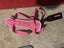 Dog bed, bowls, harnesses, leads, toy & jumper. Carousel 8