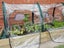 Poly Grow Tunnel Carousel 2