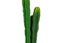 ARTIFICIAL Cactus Potted Plant (90cm Tall) Carousel 4