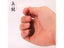 2PCS/LOT 15PCS/LOT Wooden Baton Plastic Wooden Handle Steel Pointer (Conductor Carousel 4