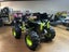 LEGO - 42118 LEGO Technic Monster Jam Grave Digger Carousel 4