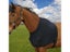 Horse Shoulder Guard Neck Guard Horse Vest Horse Shoulder Pad High Elasticity Carousel 3