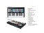 Hot WORLDE Panda MIDI Keyboard MIDI Controller Drum Pad MINI 25Key Portable USB Carousel 6
