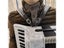 16-120 Bass Accordions 76-113CM Adjustable Leather Shoulder Straps Carousel 5