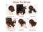Hair Extensions Synthetic Chignon Carousel 7