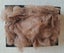 Alpaca Fleece/Fibre - Washed & Carded Carousel 2