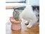 New Pet Cat Dog Bowl High Foot Dog Bowl 45° Neck Protector Cat Pet Food Water Carousel 6
