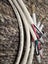 Tributaries 14awg Speaker cable 2m long pair Carousel 3