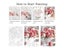 Paint By Numbers Kit Carousel 5