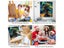 Paint By Numbers Kit Carousel 8