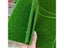 Artificial Turf Fake Grass Carousel 5