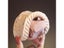 Kids Slipper Children Slipper Carousel 7