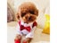 Dog Gentleman Wedding Suit Clothes Formal Shirt Pet Outfit Halloween Christmas Carousel 6