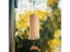 Bamboo Wind Chimes Windchime Windbell Chimes Craft For Outdoor Garden Patio Carousel 5