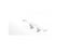 Loading Image 1 of 1