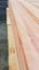 Crazy $1 Reserve! Foreverbeech Flooring 85x19TG - 172m - 14.6m2 Carousel 8