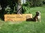wooden signs / Plaques Carousel 7
