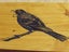 wooden signs / Plaques Carousel 13