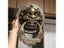9 Inch Large Cast Lion Head Door Knocker Brass Ring Pull Vintage Handle Metal Carousel 7