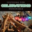 Festoon Colour Sensation - Multi Coloured 15m x 25 G40 Bulbs Festoon Lights Carousel 3