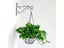 Hanging Bracket Hooks Hanger Wall Bird Flower Pot Basket Planter Lantern Metal Carousel 8
