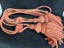 Pair Of Rope Tassel Curtain Tieback Carousel 1