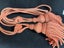 Pair Of Rope Tassel Curtain Tieback Carousel 8