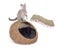 Fetch Wicker Cat Cave Carousel 2