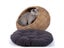 Fetch Wicker Cat Cave Carousel 4