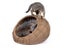 Fetch Wicker Cat Cave Carousel 6