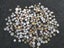 Coin collection-$1res Carousel 1