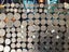 WORLD BULK COINS UP FOR GRABS Carousel 5