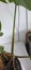 Variegated Monstera Aurea Mother Plant $1 Reserve Carousel 7