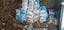 Bluegum wood for sale Carousel 3