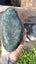 Greenstone Carousel 3