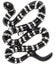 the Gift Unisex-Adult Snake Pin Brooche, NWT Carousel 1