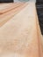 Crazy $1 Reserve! Foreverbeech Flooring 85x19TG - 172m - 14.6m2 Carousel 5
