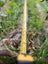 5 Antique Victorian Industrial Cast Iron lamp posts columns or stands Carousel 11