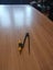 Very Old Protractor Carousel 2