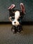 $1 Reserve Portia the Terrier Ty Beanie Boos Flippables plush toy Carousel 1