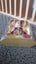 Vintage 1996 Rare Happy Holidays Barbie Doll Carousel 7