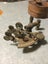 AN EXCELLENT ANT STANLEY SEXTANT WITH ORIGINAL CASE Carousel 3