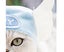 Pet Hat Light Weight Polyester Soft Comfortable Portable Cute Cat Cap for Cat Carousel 3