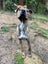 Male Staffy Lab Mix Carousel 5